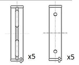 Crankshaft Bearing